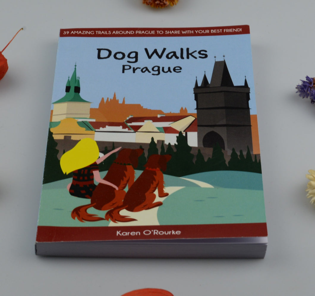 Dog walks Prague